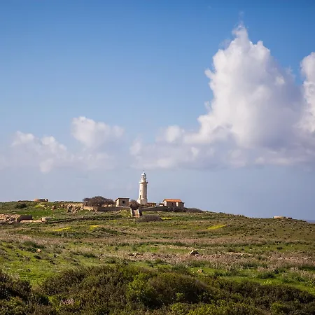 Ariadne * Pafos